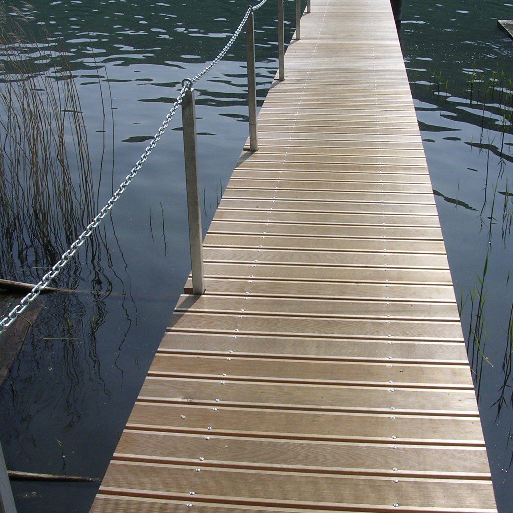 pontile | Medicus Info