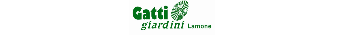 gatti-giradini-banner-medicusinfo
