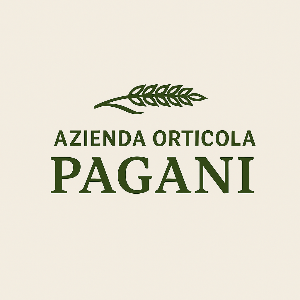 1762182780_10e86d1a75135babb15a 1762182780_10e86d1a75135babb15a