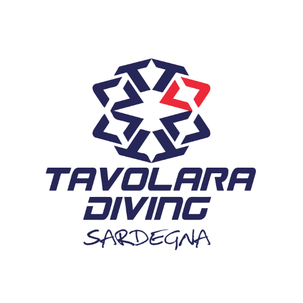 1766044277_599d7a440d547aba820a 1766044277_599d7a440d547aba820a