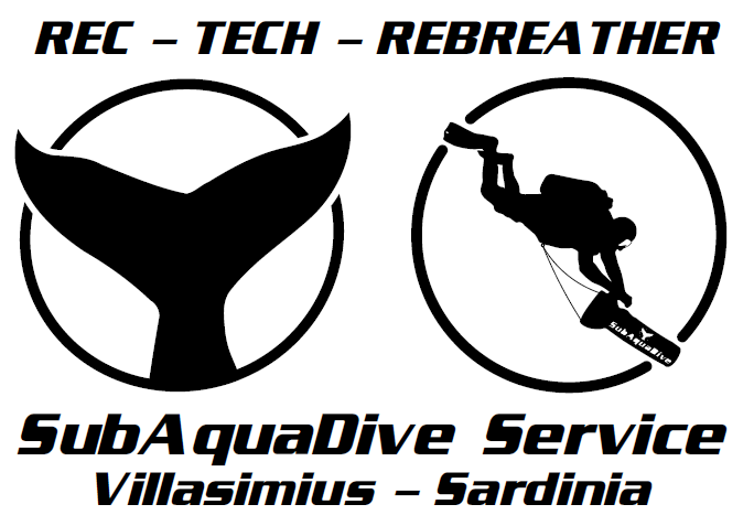 1766044676_71905326c6e09e135cf2 1766044676_71905326c6e09e135cf2