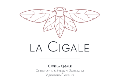 screenshot-2025-12-15-121041 screenshot-2025-12-15-121041