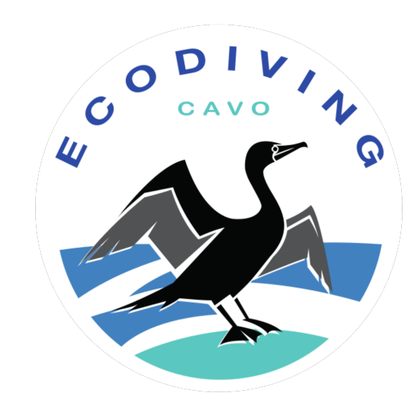 screenshot-2025-12-23-140856 screenshot-2025-12-23-140856