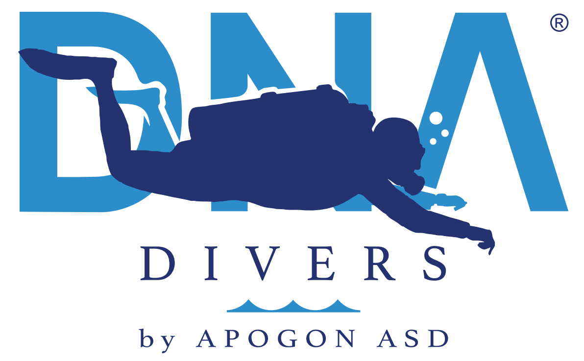 screenshot-2025-12-23-141104 screenshot-2025-12-23-141104