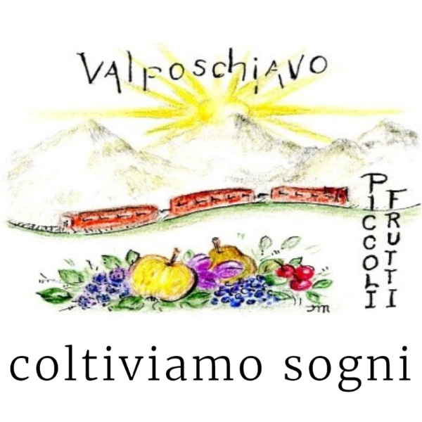 1769618128_9d161d99ec228c2a372f