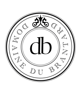 screenshot-2026-03-04-132018